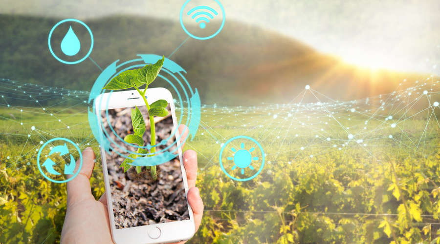 养殖生产系统建立科学化的养殖生产工艺体系